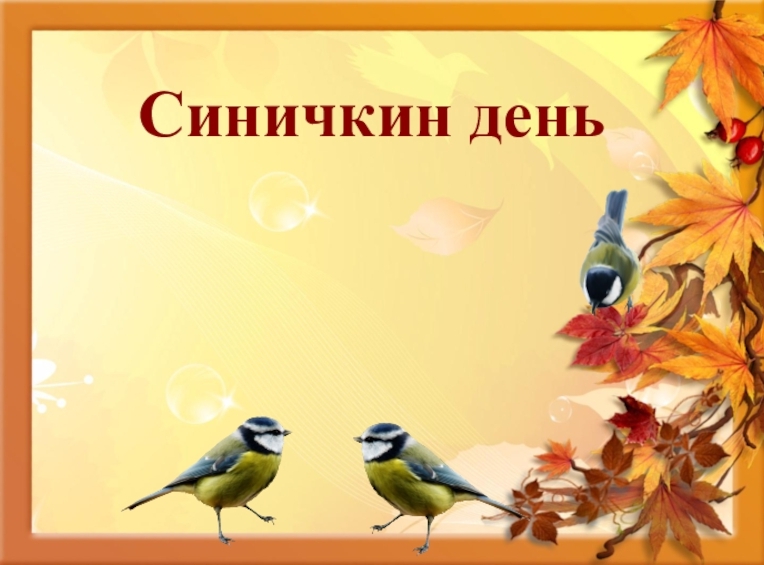 Проект синичкин день в детском саду